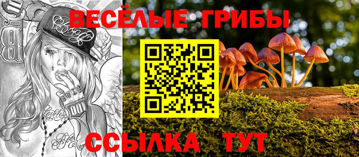 Мичуринск  Галлюциногенные грибы Psilocybe  Вход с VPN 
